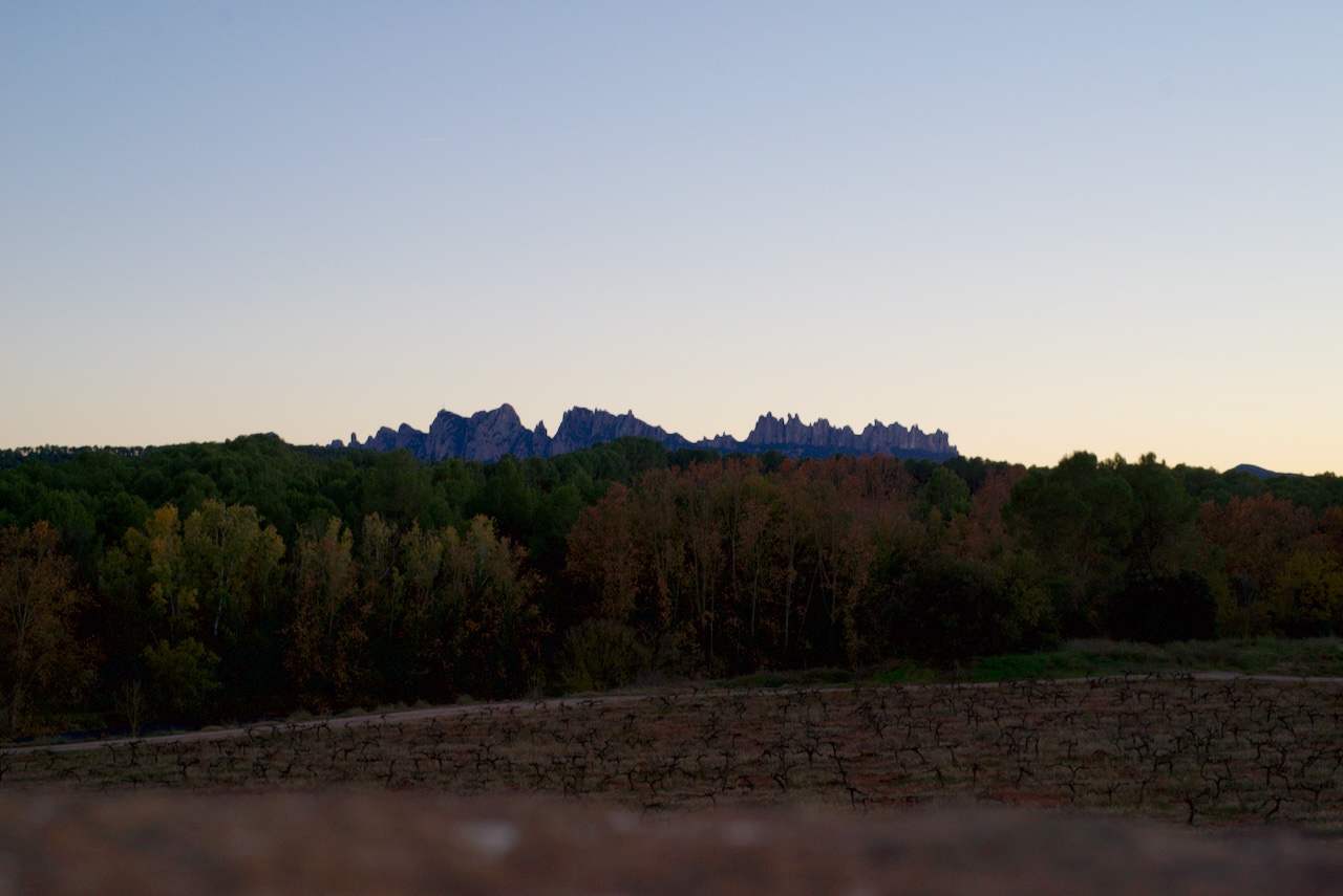 Photo of landscape with mountain in background