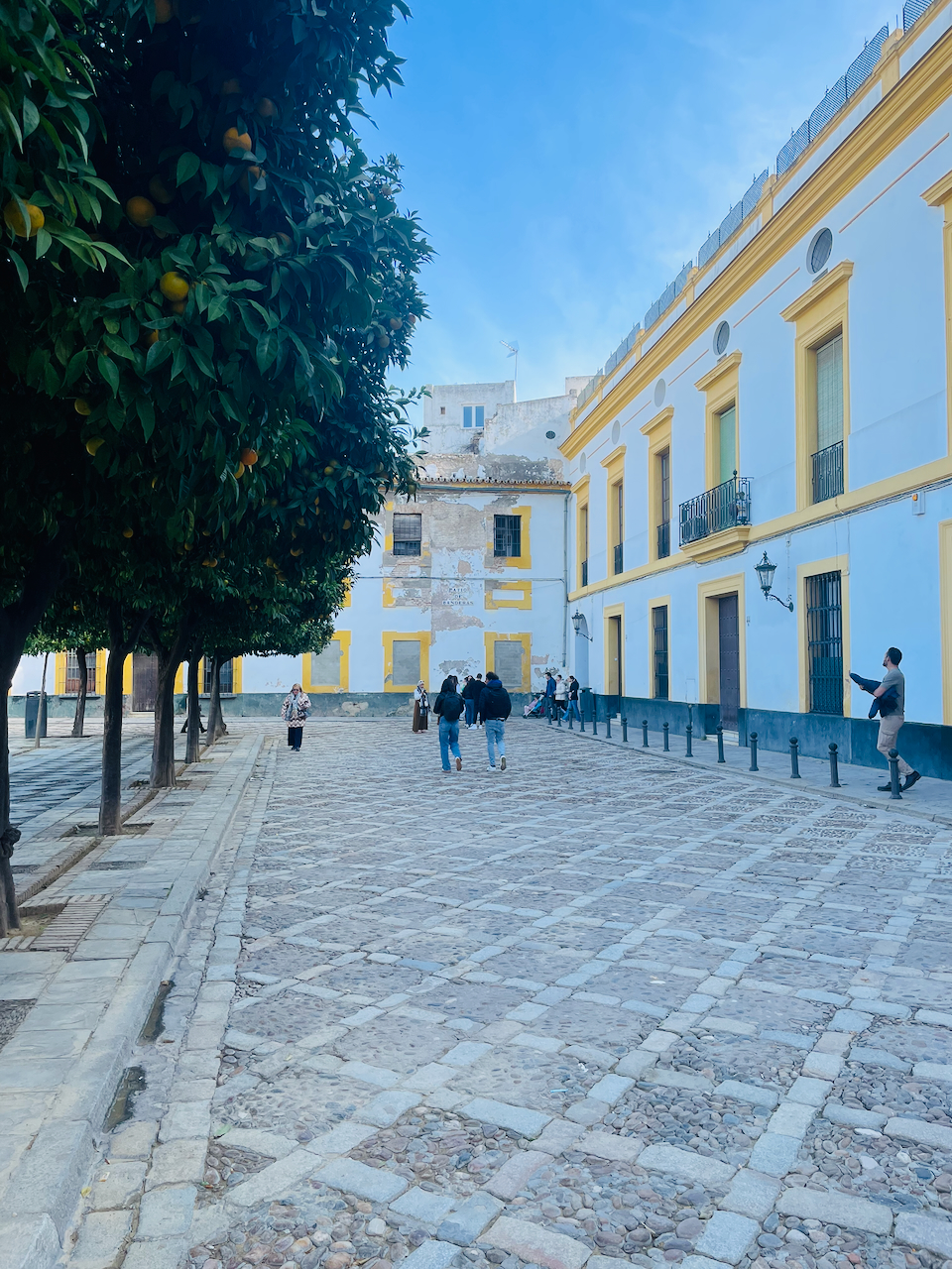 A public square with orange trees.