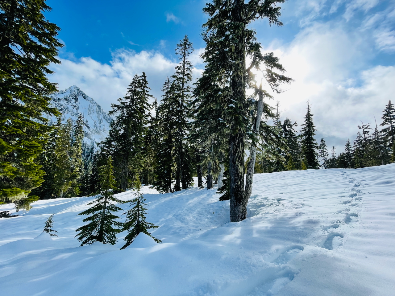 Snowshoe tracks and mountain in the background