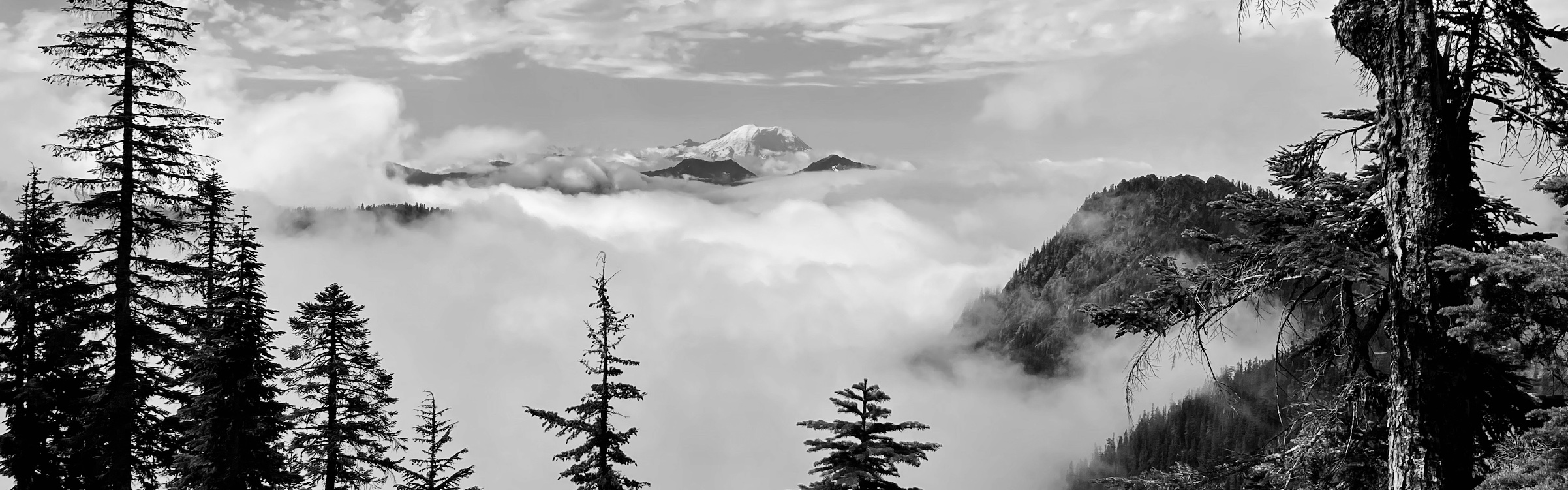 A photo of Mount Rainier – used as a decorative image