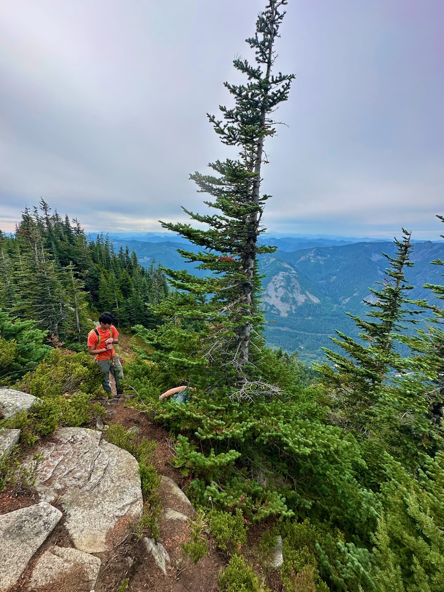 hikers stopped on a trail and crawling under a tree searching for a geocache